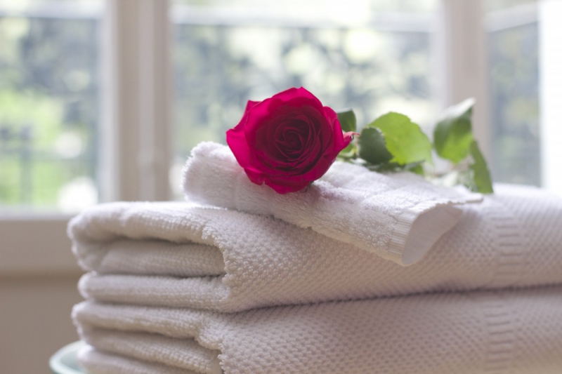 chambre-hote-GONFARON-min_towel_rose_clean_care_salon_spa_white_bath-731641